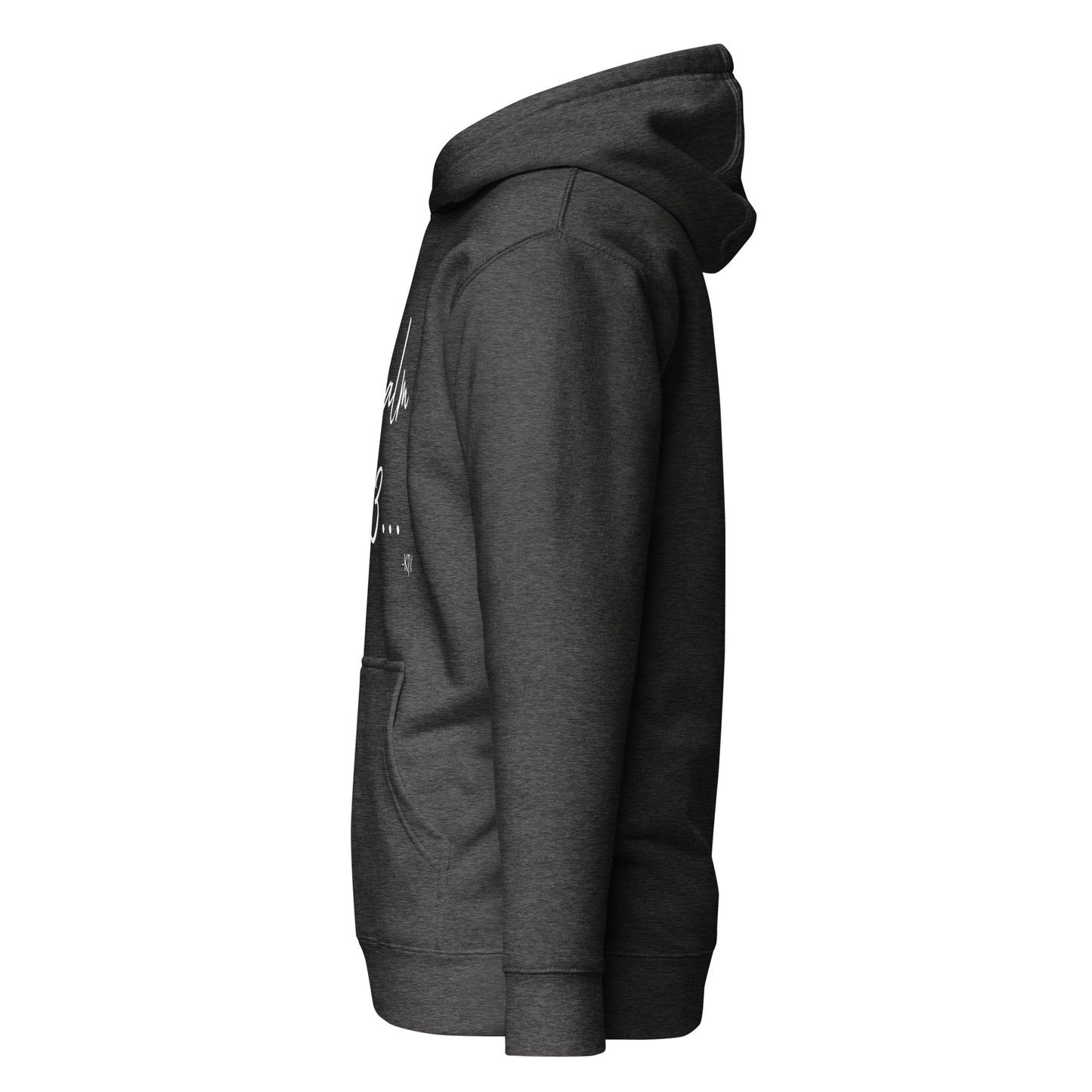 Psalm 23 Hoodie
