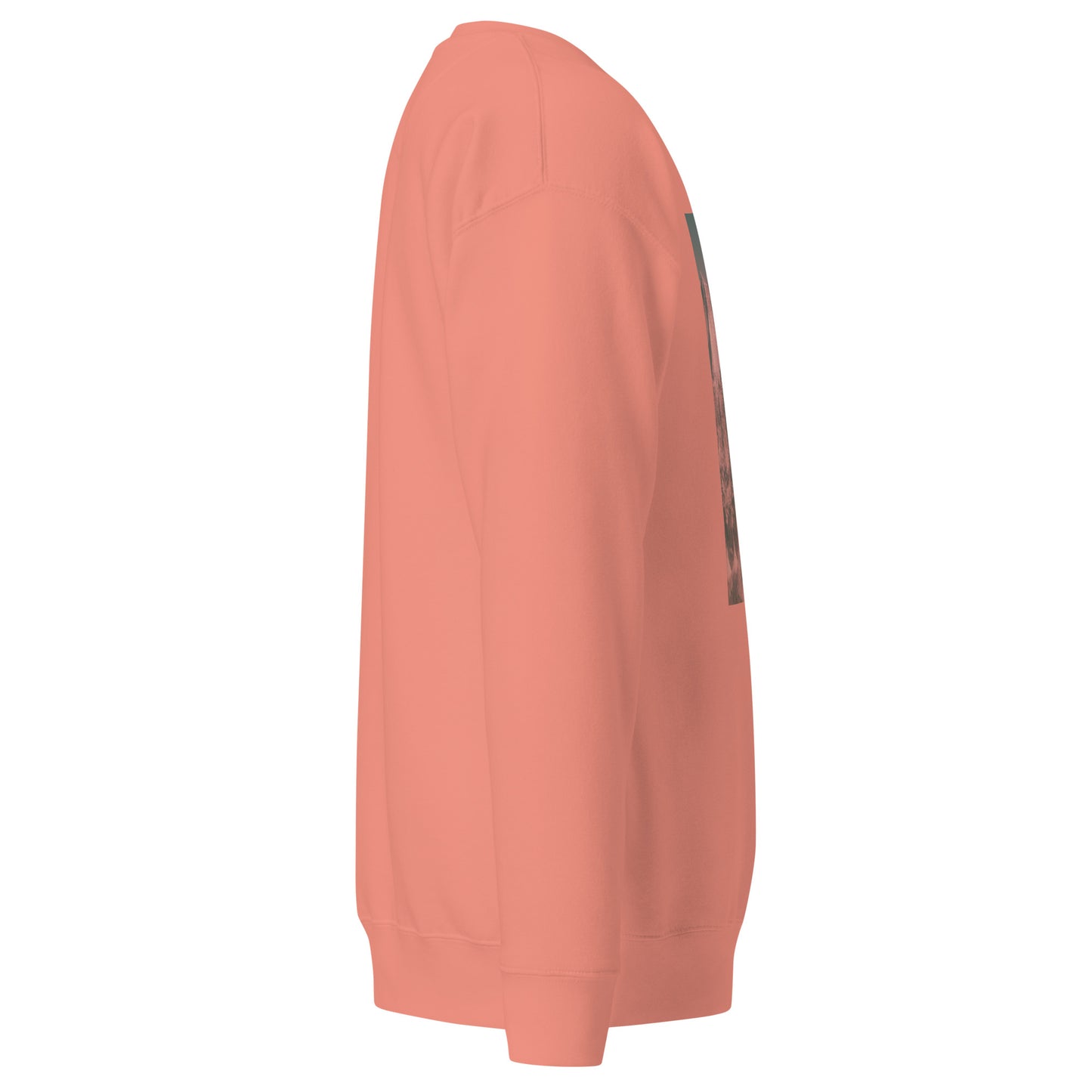 "PINk Salt Himalayan" Sweatshirt